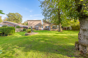 Garden- click for photo gallery